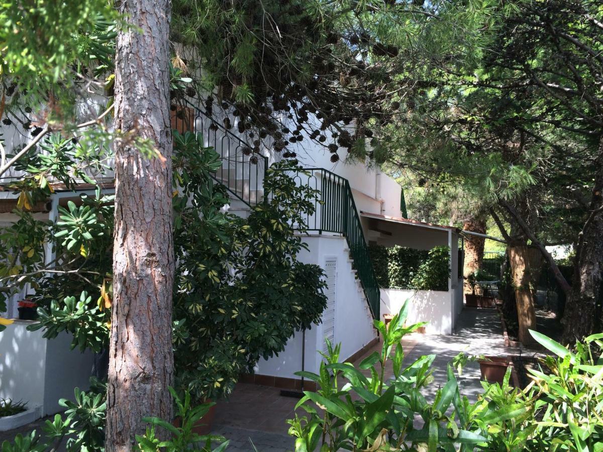 Villa Irene Vieste Kültér fotó
